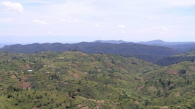 Adrian-Bwindi-web-aspect-ratio-16×9