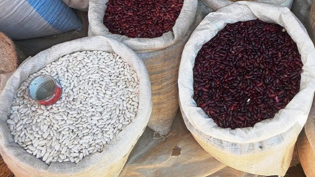 Legumes-web-aspect-ratio-16×9