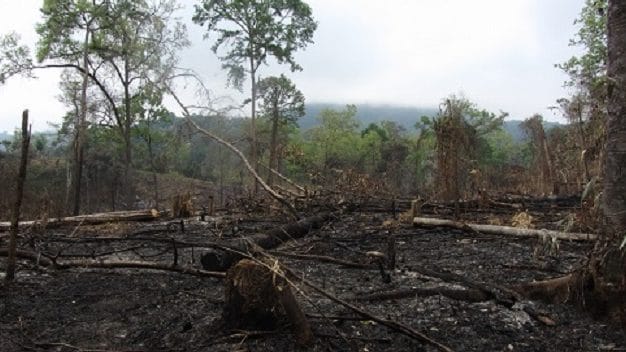 Neil-Laos-web-1-aspect-ratio-16×9