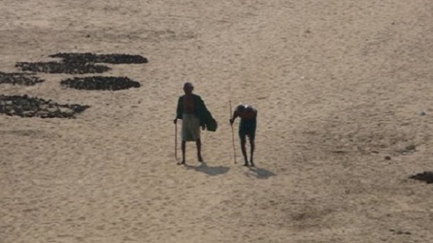 Vasudha-Post-cyclone-Odisha-web2-aspect-ratio-16×9