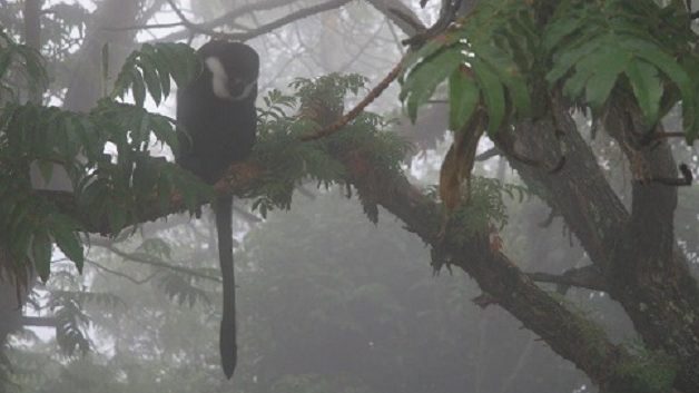 impacts-web-aspect-ratio-16×9