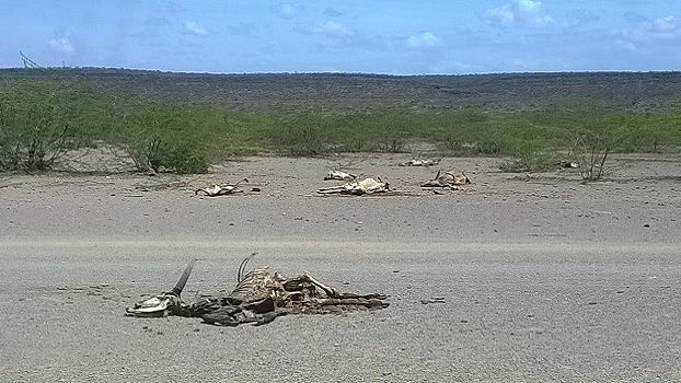 After-shock-web-1-aspect-ratio-16-9