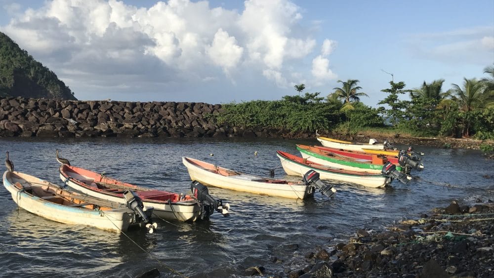 IMG_8553-scaled-aspect-ratio-16-9