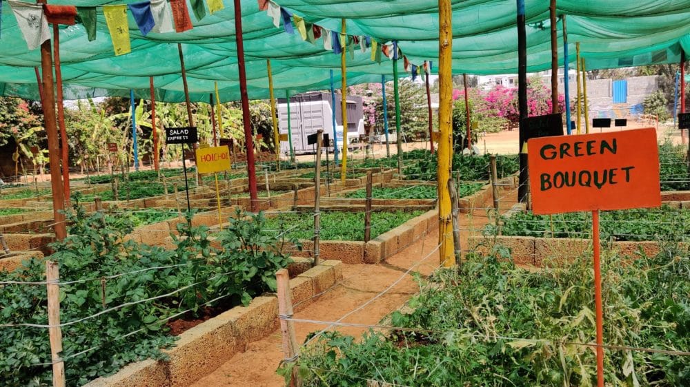 VillageStory_Agrahara_PP_110320-2-scaled-aspect-ratio-16-9