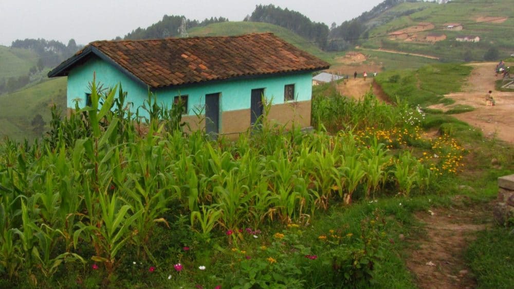 Image-for-REDEGN-2-on-website-aspect-ratio-16-9