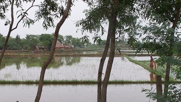 India-Roger-aspect-ratio-16-9