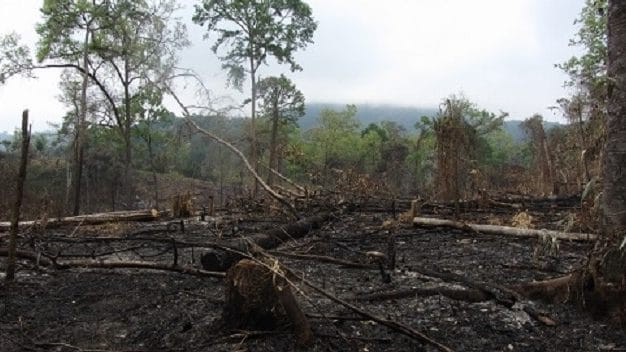 Neil-Laos-web-1-aspect-ratio-16-9