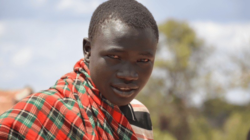 kdf-3325@3x_800x500_acf_cropped-1-aspect-ratio-16-9