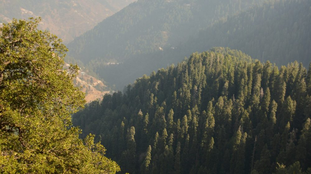 pexels-salman-rafiq-11586319-1-scaled-aspect-ratio-16-9