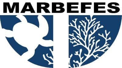 logo-aspect-ratio-16-9