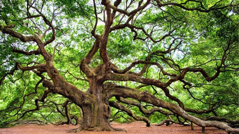 image002-aspect-ratio-16-9