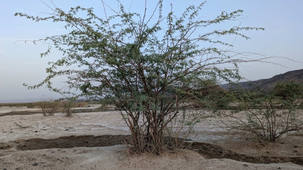 1000009743-scaled-aspect-ratio-16-9