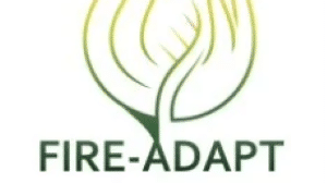 image-1-1-aspect-ratio-16-9